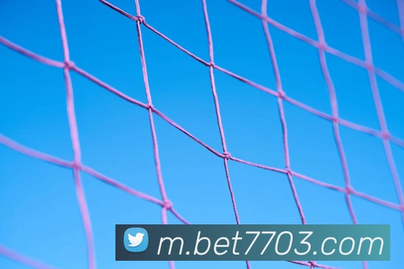 bet365comAPP 体育赛事宣传图